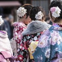 着付け教室は値段の相場を知って比較するのがポイント